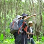Adventure travel in tropical rainforests