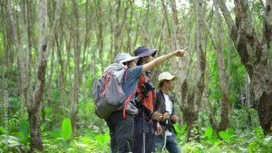 Adventure travel in tropical rainforests