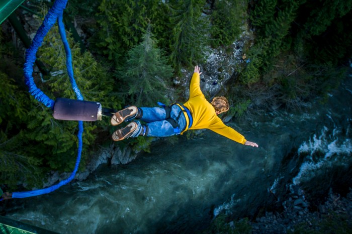 Bungee whistler jumping adrenaline fueled experience beautiful cheakamus river